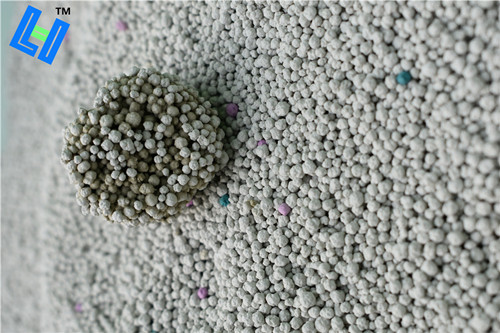 DSC_0300_副本.jpg DSC_0300_副本.jpg