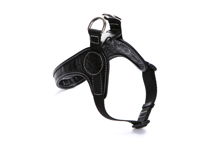 꾸미기_H0002B (1).jpg