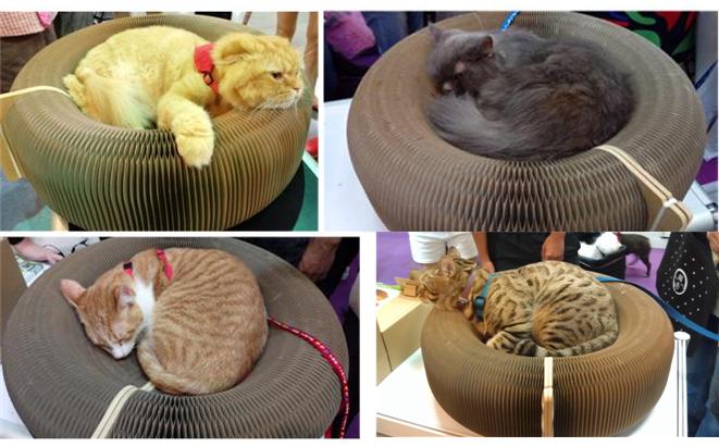 Donut005.jpg Donut005.jpg