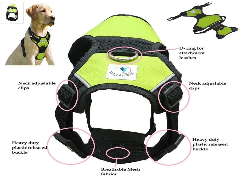 green Krazzy Pets.jpg