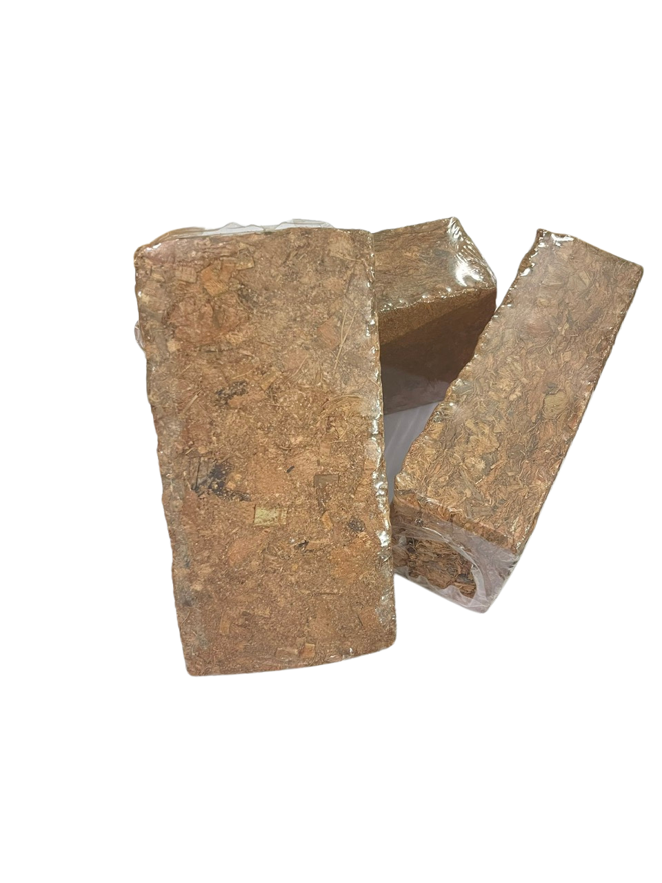 vi阯 n閚 mụn dừa (1).png